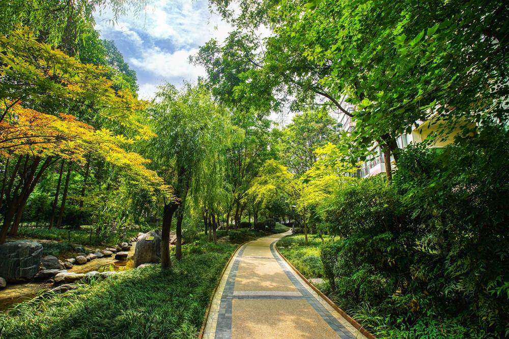 首页|k1体育十年品牌值得信任