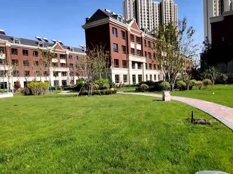 首页|k1体育十年品牌值得信任