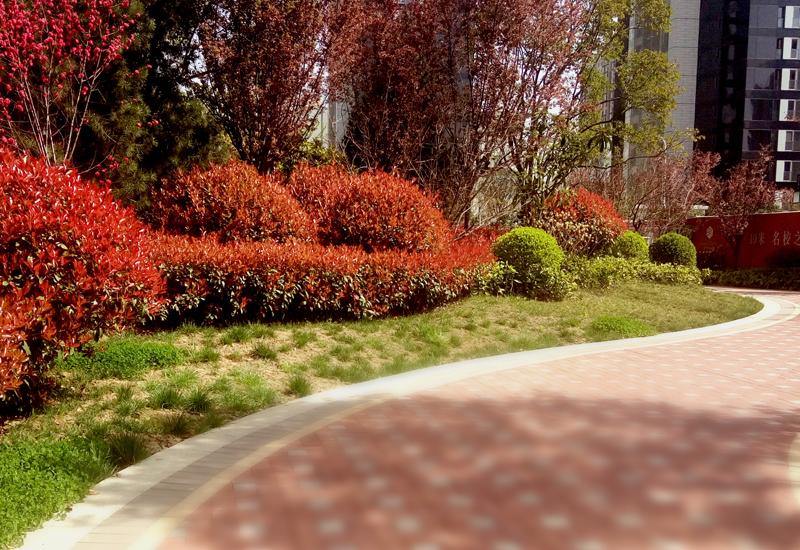 首页|k1体育十年品牌值得信任