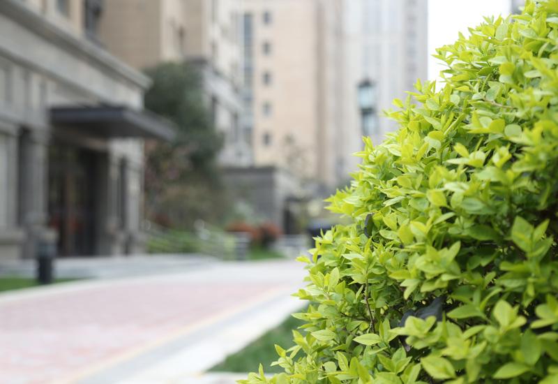 首页|k1体育十年品牌值得信任