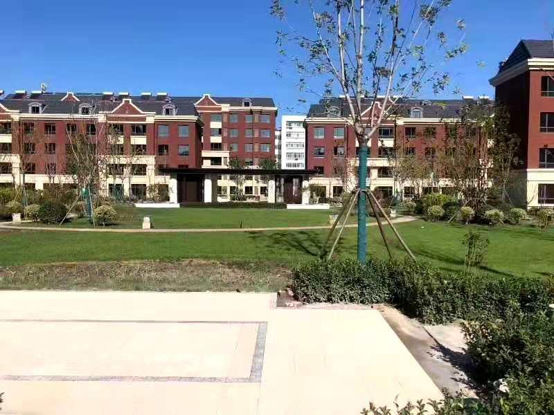 首页|k1体育十年品牌值得信任