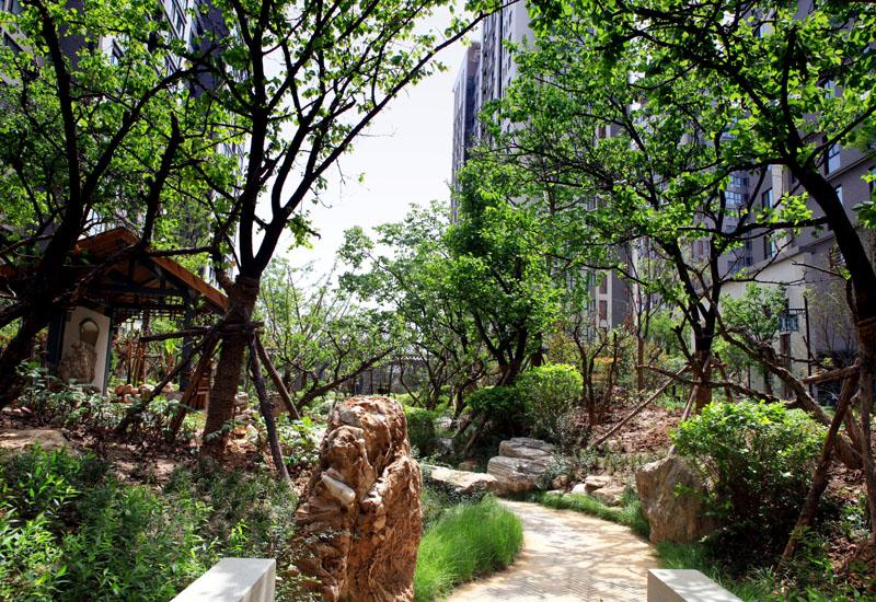 首页|k1体育十年品牌值得信任