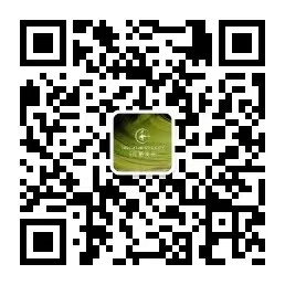 首页|k1体育十年品牌值得信任